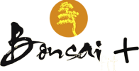 bonsai-fit-plus-logo