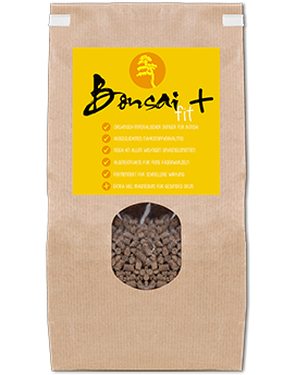produkt_002_bonsai_fit_plus_s